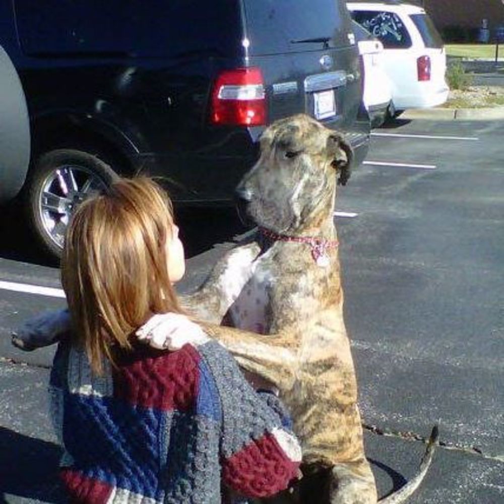 Meet your Posher, Mp